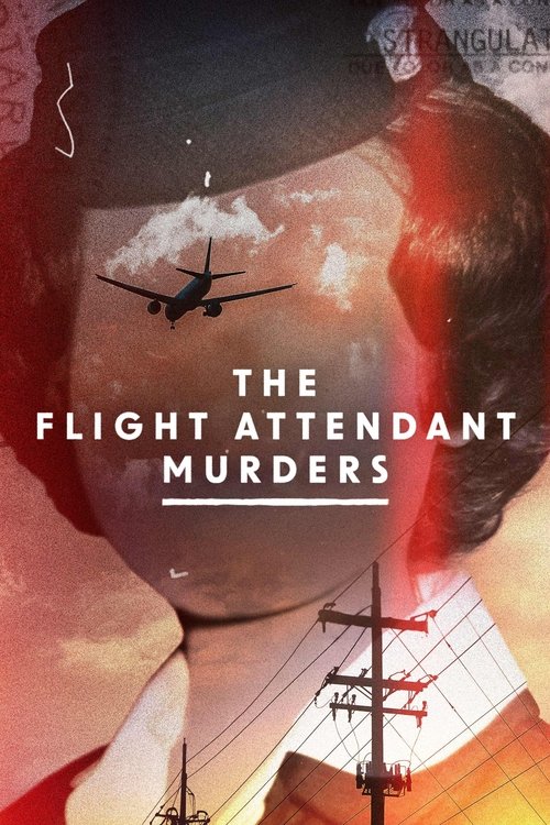 Series poster for The Flight Attendant Murders (2023)