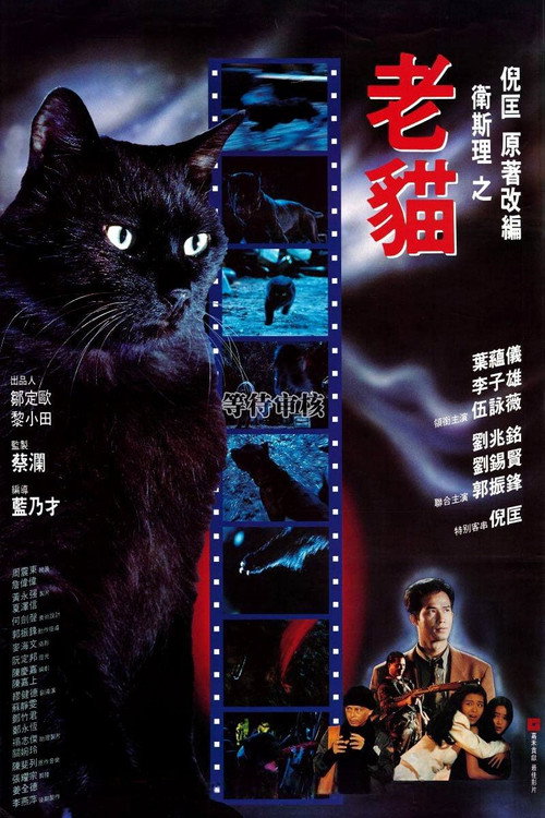 Movie poster for The Cat- Beast Wars: Nine Lives (1991)