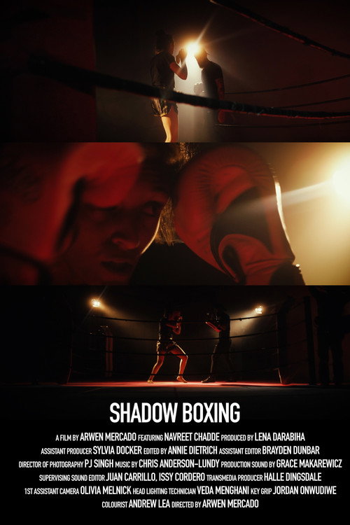 Movie poster for Shadow Boxing (2024)