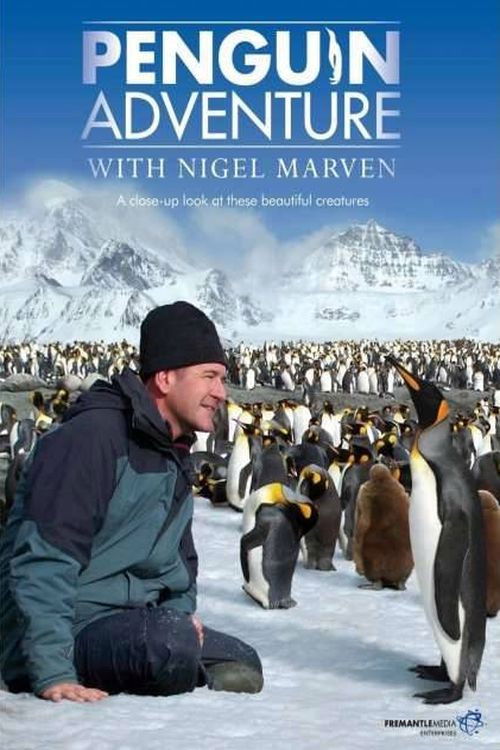 Penguin Adventure with Nigel Marven poster