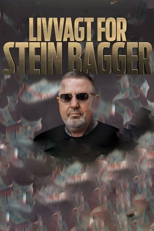 Livvagt for Stein Bagger poster