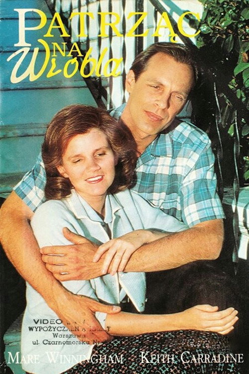Movie poster for Eye on the Sparrow (1987)