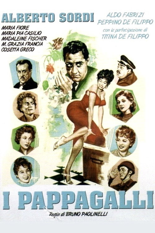 Movie poster for I pappagalli (1955)
