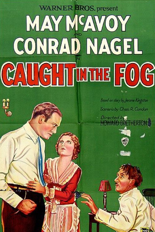 Movie poster for Caught in the Fog (1928)