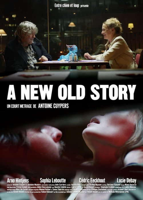 Movie poster for A new old story (2012)