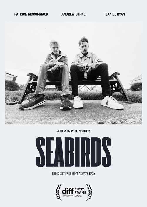 Movie poster for Seabirds (2025)