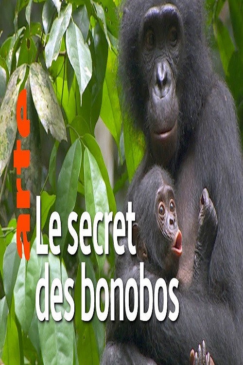 Movie poster for La vie cachée des bonobos (2019)