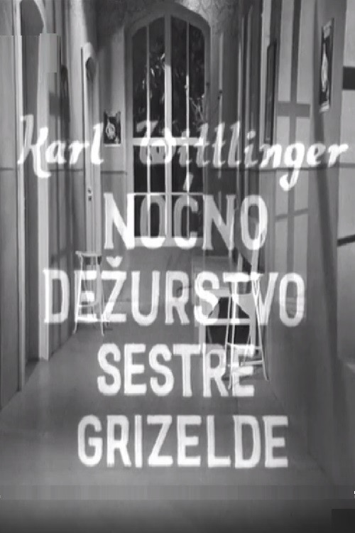 Movie poster for Nurse Griselda's Night Watch (1970)