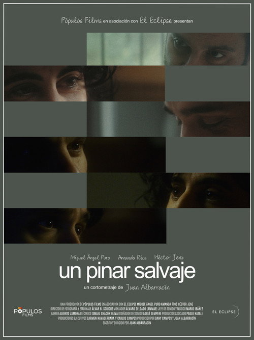 Movie poster for Un pinar salvaje (2023)