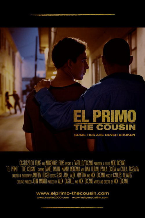 Movie poster for The Cousin (2008)
