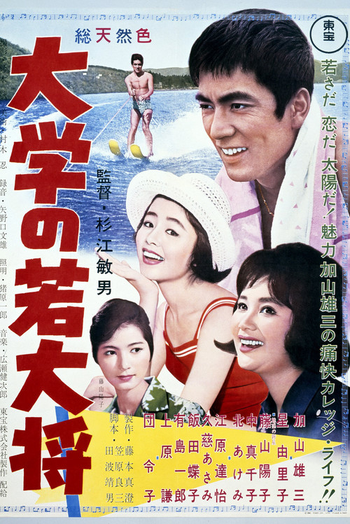 Movie poster for Sir Galahad in Campus (1961)