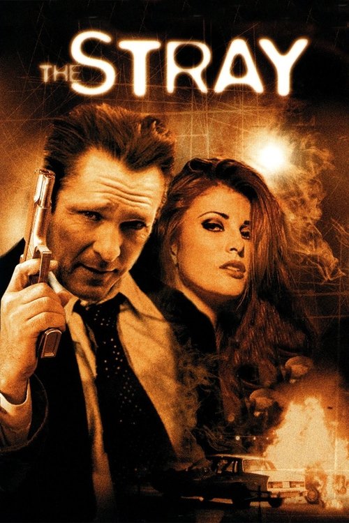 Movie poster for The Stray (2000)