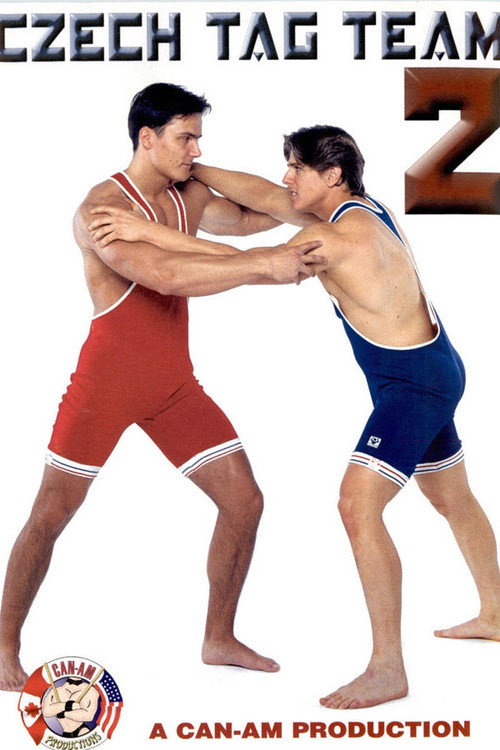 Movie poster for Czech Tag Team 2 (2001)