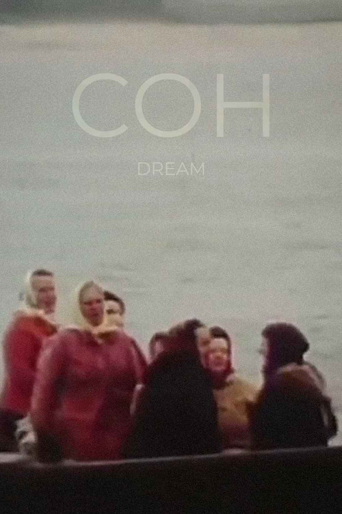 Movie poster for Dream (1988)