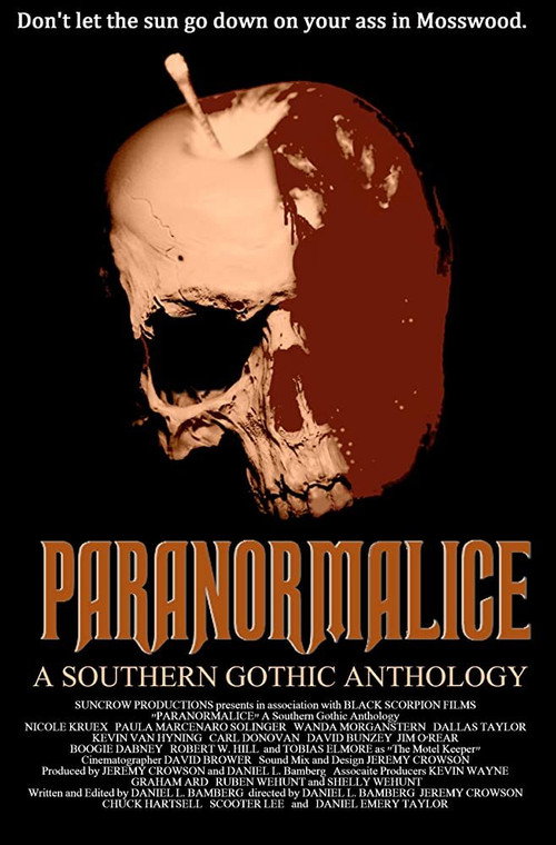Movie poster for Paranormalice (2016)