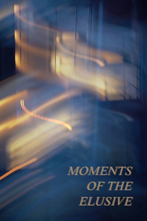 Movie poster for Moments of the Elusive