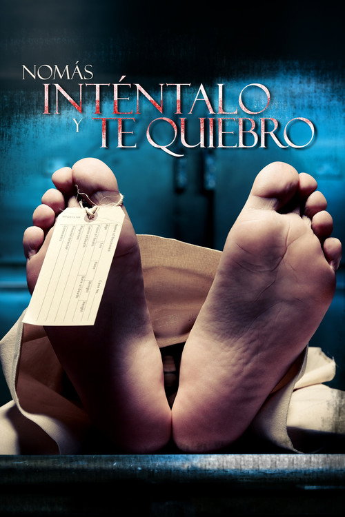 Movie poster for Nomás inténtalo y te quiebro (2013)