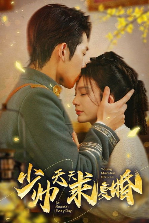 Series poster for 少帅天天求复婚 (2023)
