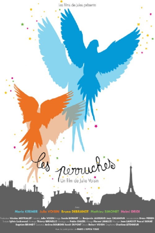 Movie poster for Les Perruches (2013)