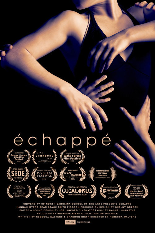Movie poster for échappé (2020)