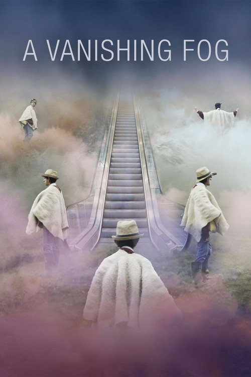 Movie poster for A Vanishing Fog (2021)