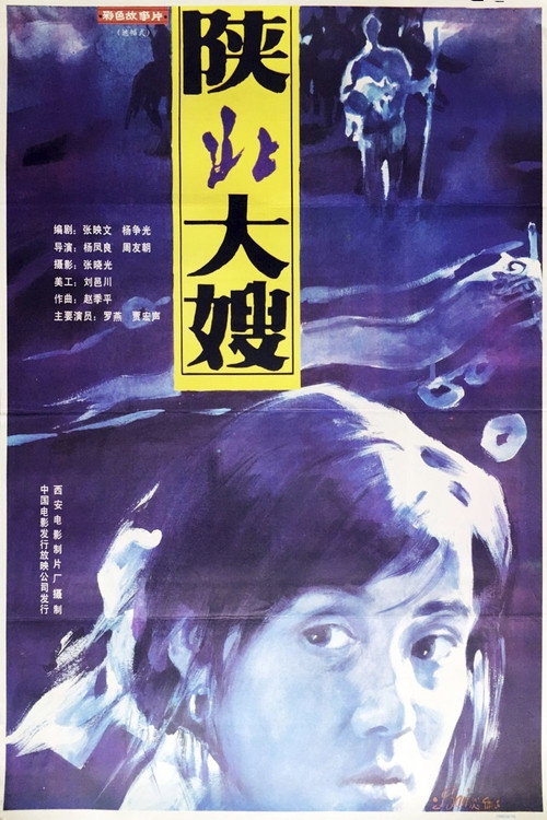 Movie poster for A Woman from North Shaanxi (1993)