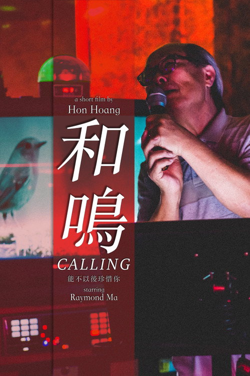 Movie poster for Calling (2020)