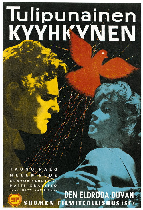 Movie poster for The Scarlet Dove (1961)