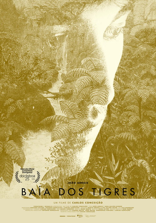 Movie poster for Tiger Bay (2025)