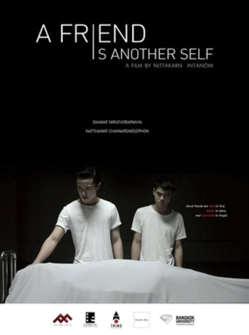 Movie poster for A Friend Is Another Self (2017)