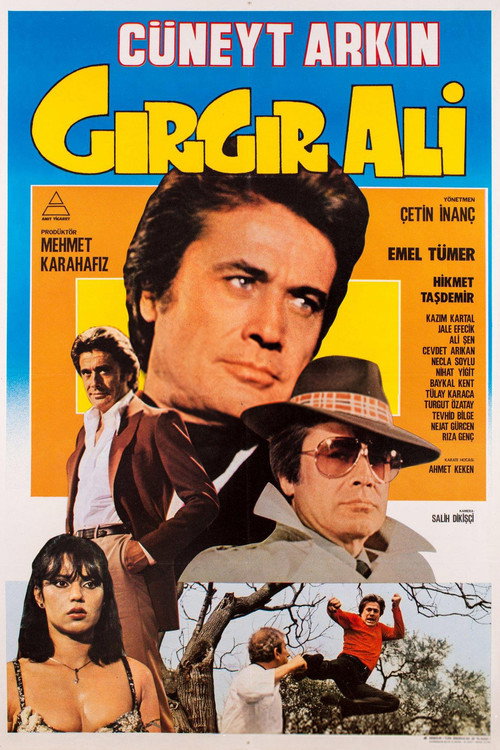 Movie poster for Gırgır Ali (1982)