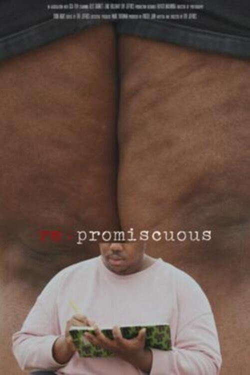 Movie poster for re: Promiscuous