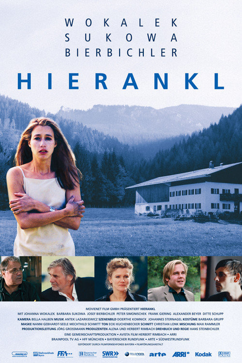 Movie poster for A Birthday to Remember (2003)
