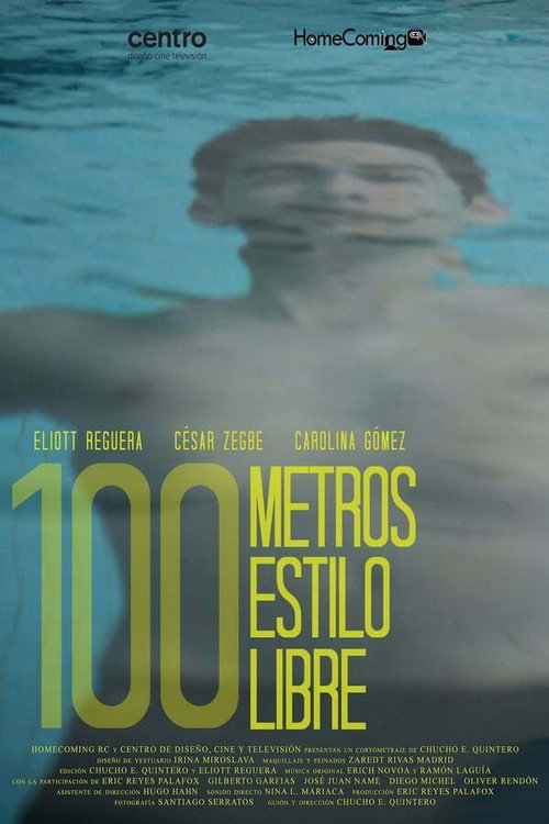 Movie poster for 100m Freestyle (2013)