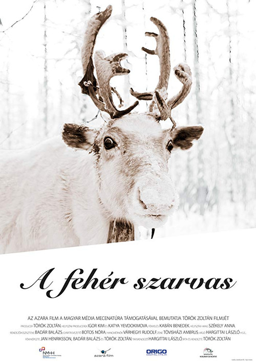 Movie poster for The White Reindeer (2019)
