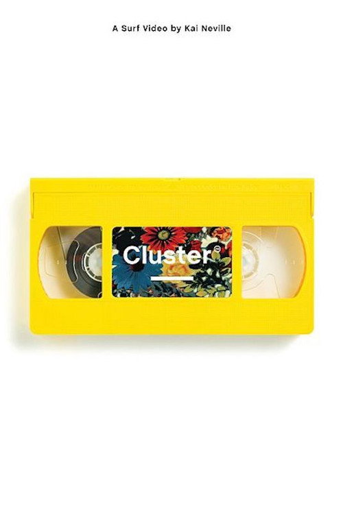 Movie poster for Cluster (2015)