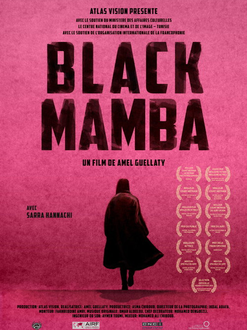 Movie poster for Black Mamba (2017)