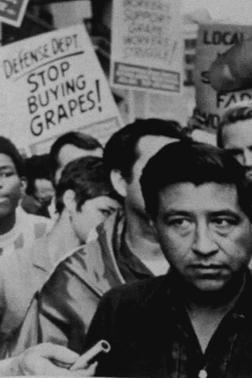 Movie poster for Stop Buying Grapes (1982)