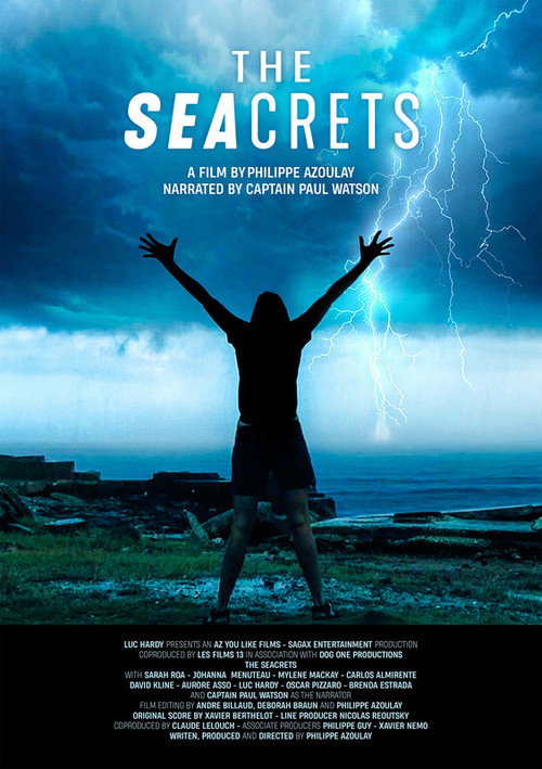 Movie poster for The Seacrets