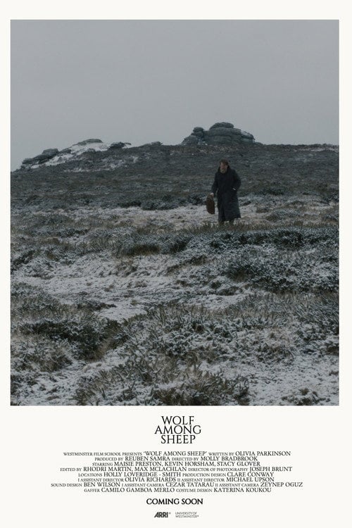 Movie poster for Wolf Among Sheep (2018)