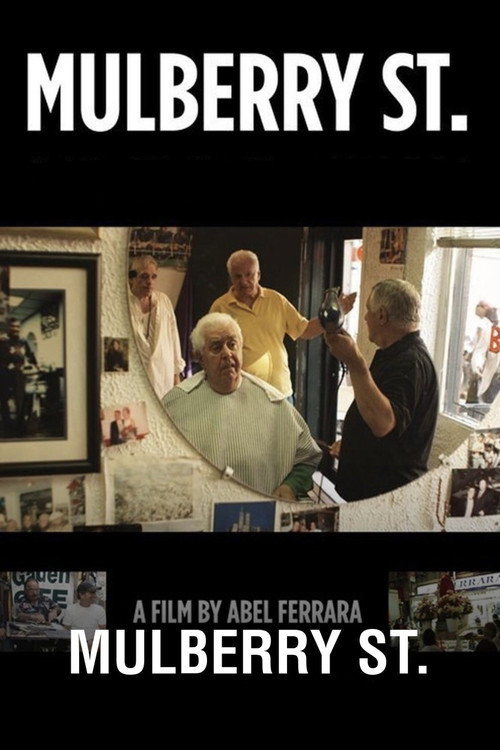 Movie poster for Mulberry St. (2010)