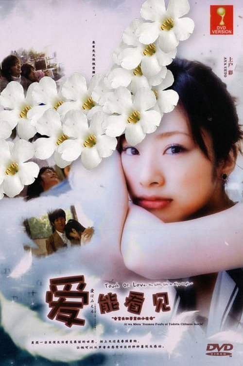 Movie poster for Ai wa mieru: Zenmô fûfu ni yadotta chiisana inochi (2010)