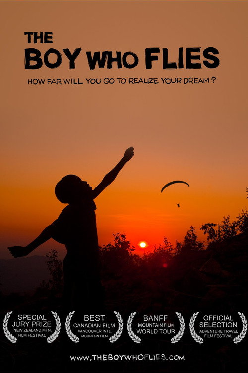 Movie poster for The Boy Who Flies (2013)