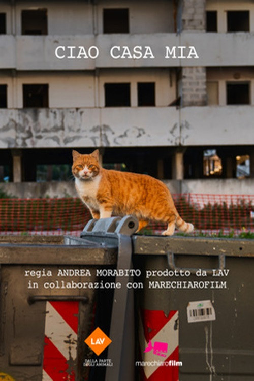 Movie poster for Ciao casa mia (2025)