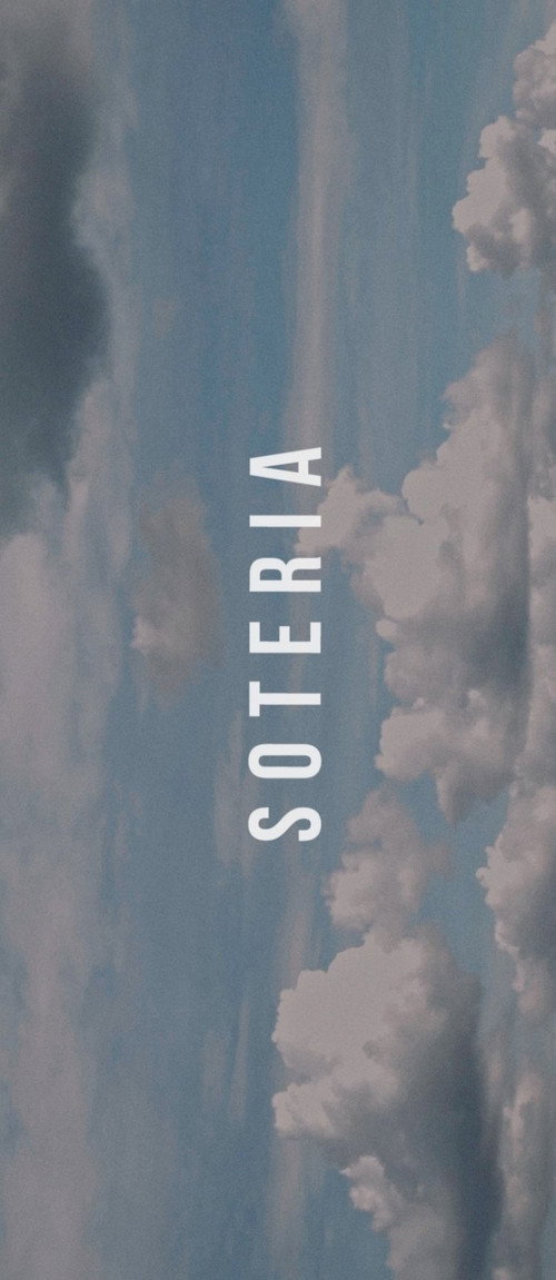 Movie poster for Mt. Wolf: Soteria (2017)