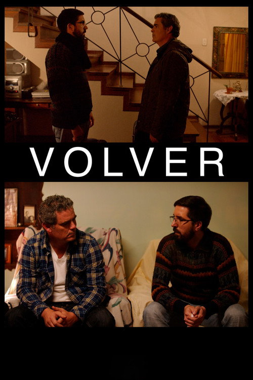 Movie poster for Volver (2017)