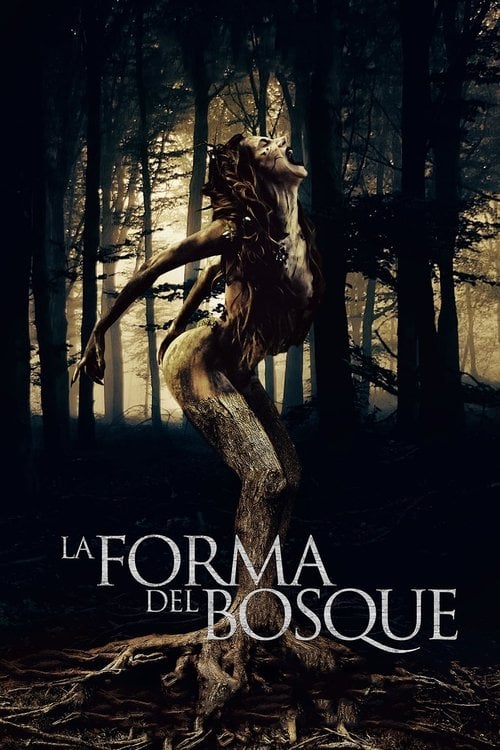 Movie poster for The Shape of the Woods (2021)