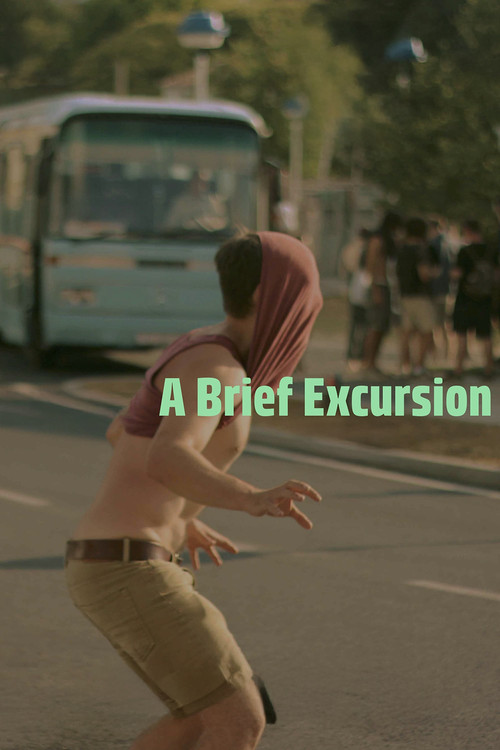 Movie poster for A Brief Excursion (2017)