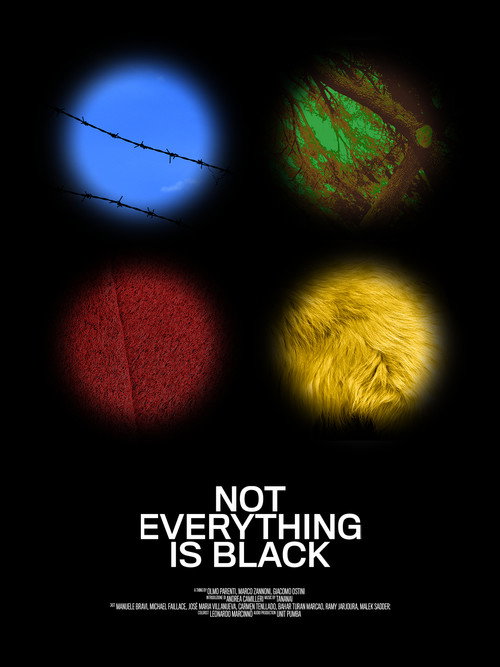 Movie poster for Not Everything Is Black (2019)