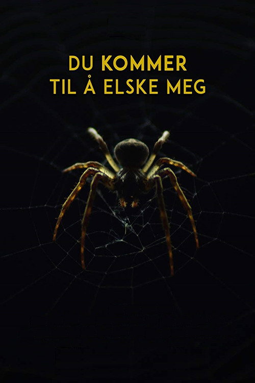 Movie poster for You Will Love Me (2017)